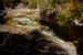 _mg_3059.jpg