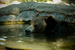 _mg_3636.jpg