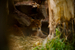 _mg_3712.jpg