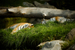 _mg_3728.jpg