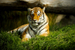 _mg_3747.jpg