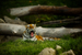 _mg_3764.jpg