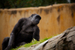 _mg_3900.jpg