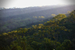 _mg_2488.jpg