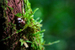 _mg_2593.jpg