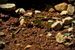 _mg_2666.jpg