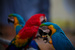 _mg_3150.jpg