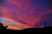 _mg_3289.jpg