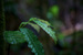 _mg_4462.jpg