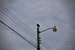 _mg_5307.jpg