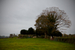 _mg_8778.jpg