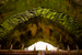 _mg_8877.jpg