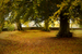 _mg_8976.jpg
