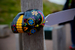 _mg_9614.jpg