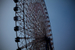 _mg_3376.jpg
