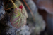 _mg_5244.jpg