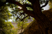 _mg_8464.jpg