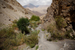 _mg_8737.jpg