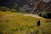 _mg_9106.jpg