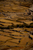_mg_9422.jpg