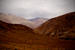 _mg_9147.jpg