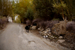_mg_9209.jpg