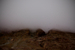 _mg_9545.jpg