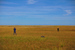 _mg_1024.jpg