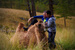 _mg_2553.jpg