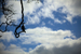 _mg_2476.jpg