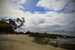 _mg_2521.jpg