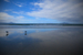 _mg_2536.jpg