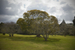 _mg_2765.jpg