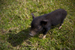 _mg_3281.jpg