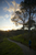 _mg_3463.jpg