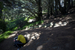 _mg_3781.jpg