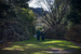 _mg_3794.jpg