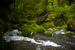 _mg_4657.jpg