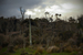 _mg_4765.jpg