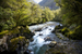 _mg_5234.jpg