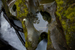 _mg_5238.jpg