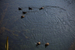 _mg_5290.jpg