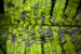 _mg_5646.jpg