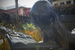 _mg_6275.jpg