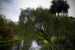 _mg_6346.jpg