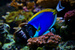 _mg_7654.jpg