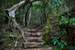 _mg_8873.jpg