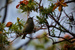 _mg_9229.jpg