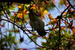 _mg_9234.jpg