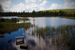 _mg_3526.jpg